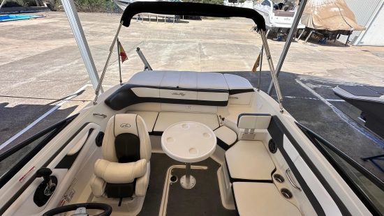 Sea Ray SPX 19 usata in vendita