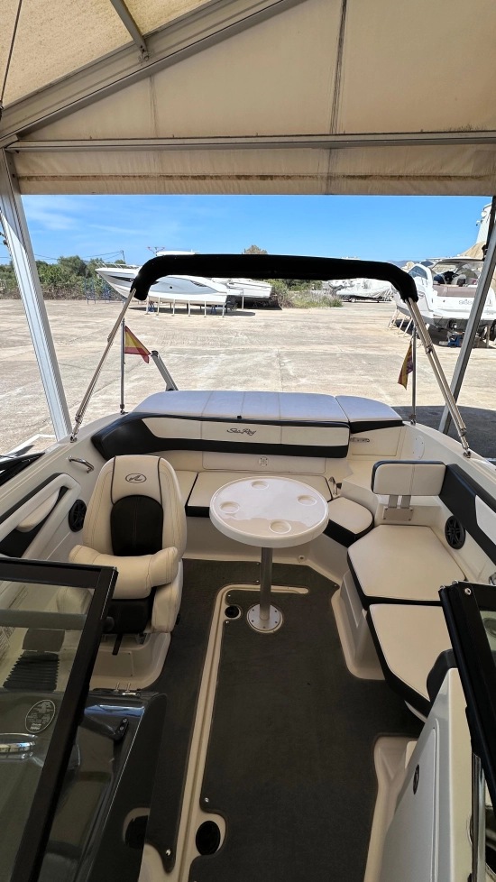 Sea Ray SPX 19 usata in vendita