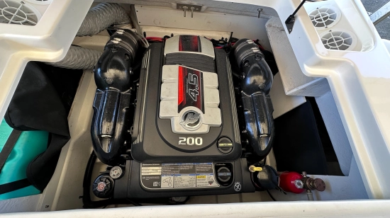 Sea Ray SPX 19 usata in vendita