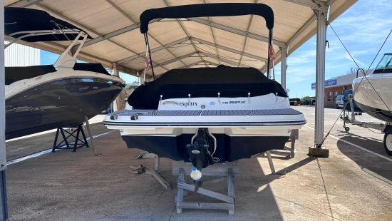 Sea Ray SPX 19 usata in vendita
