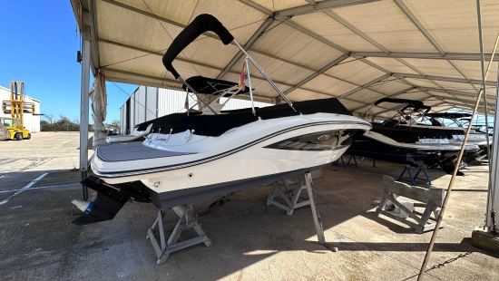 Sea Ray SPX 19 usata in vendita