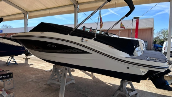 Sea Ray SPX 19 usata in vendita
