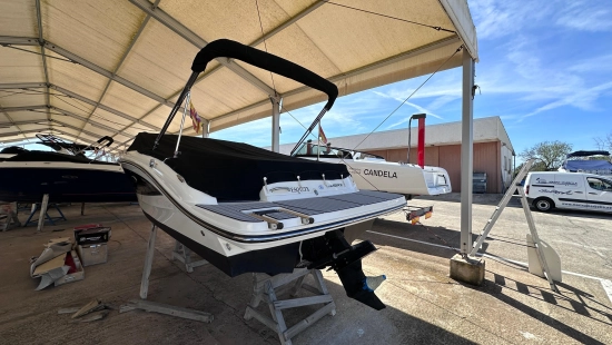 Sea Ray SPX 19 usata in vendita