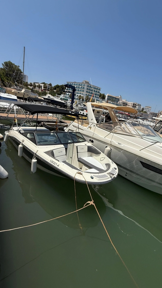Sea Ray SPX 19 usata in vendita