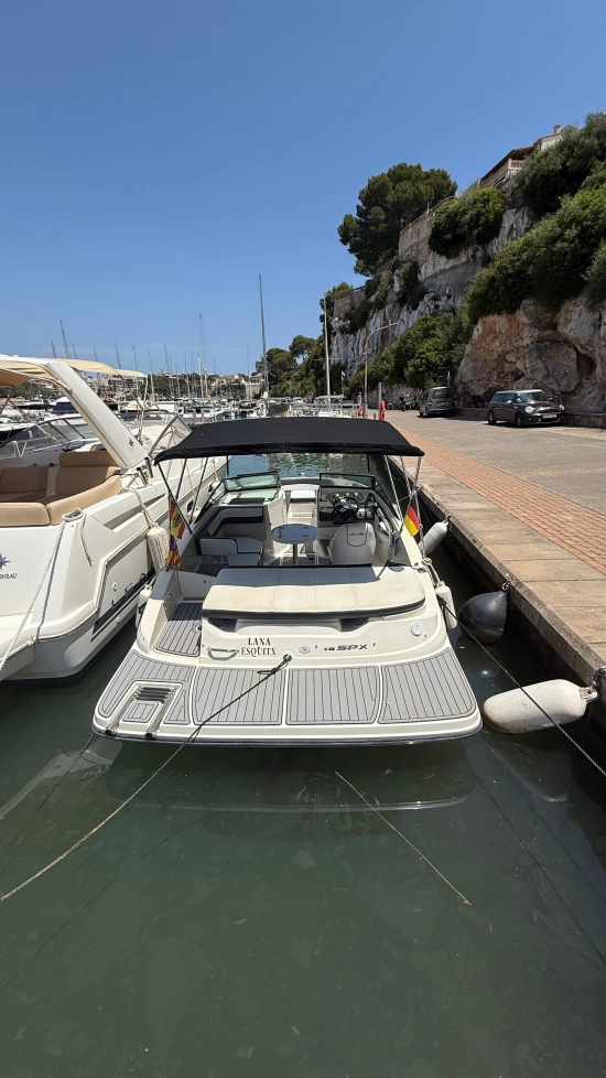 Sea Ray SPX 19 usata in vendita