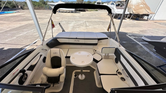 Sea Ray SPX 19 usata in vendita