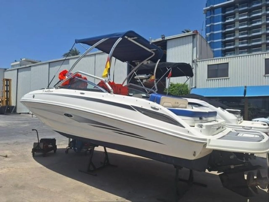 Sea Ray Sundeck 240 usata in vendita
