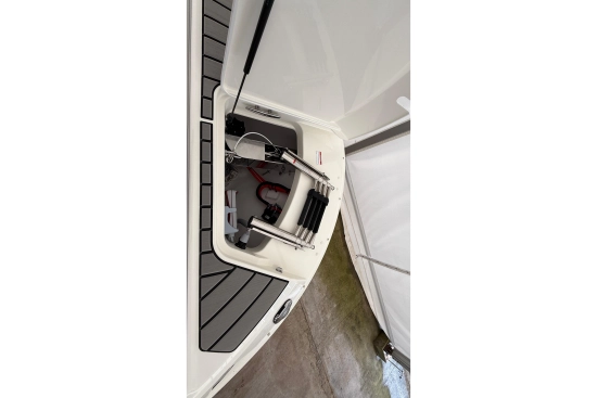 Sea Ray SDX 270 nuova in vendita