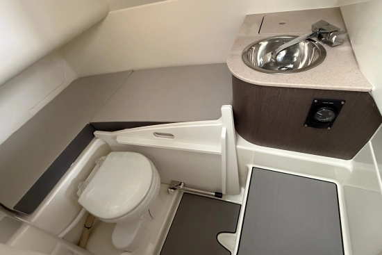 Sea Ray SDX 270 nuova in vendita