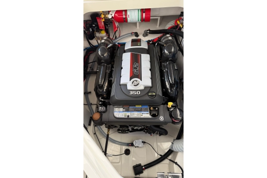 Sea Ray SDX 270 nuova in vendita