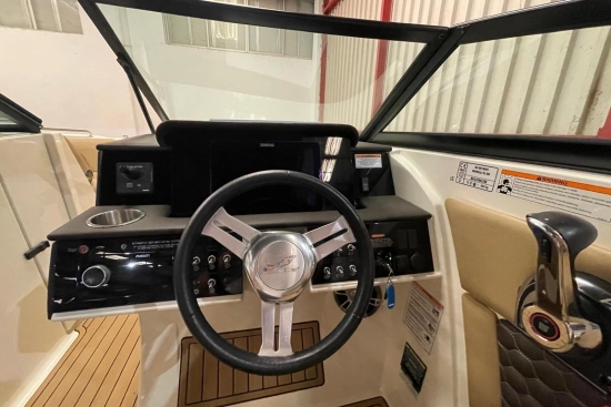 Sea Ray SDX 270 usata in vendita