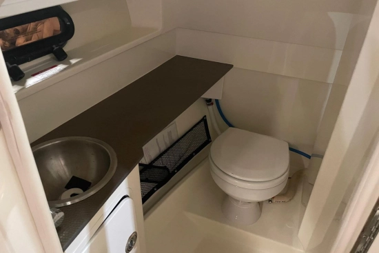Sea Ray SDX 270 usata in vendita