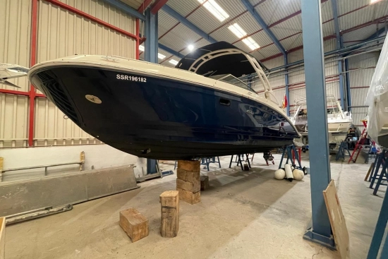 Sea Ray SDX 270 usata in vendita