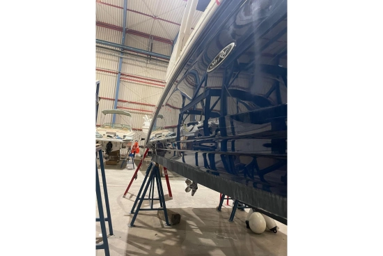 Sea Ray SDX 270 usata in vendita