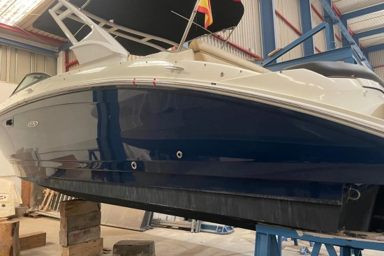 Sea Ray SDX 270 usata in vendita