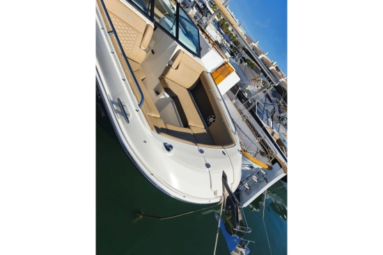 Sea Ray SDX 270 usata in vendita