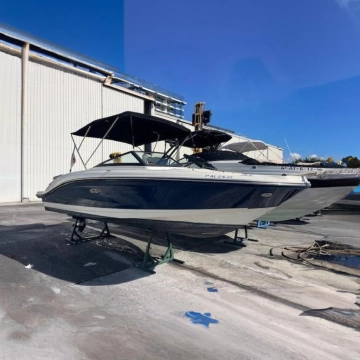 Sea Ray SPX 210 de segunda mano en venta