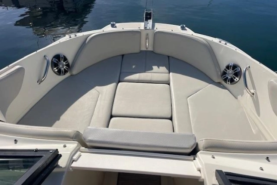 Sea Ray SPX 210 usado à venda
