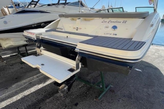 Sea Ray SPX 210 usado à venda