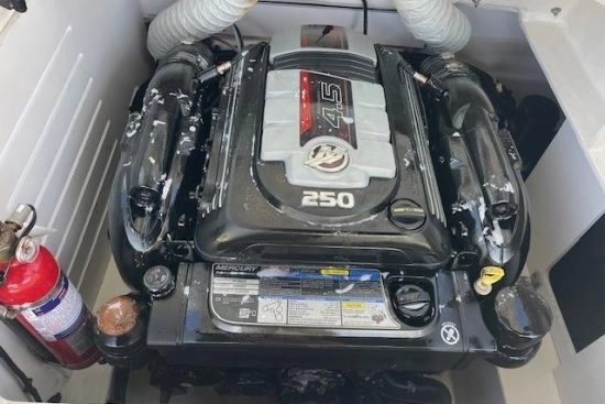 Sea Ray SPX 210 usado à venda