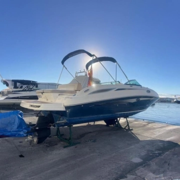 Sea Ray Sundeck 280 de segunda mano en venta