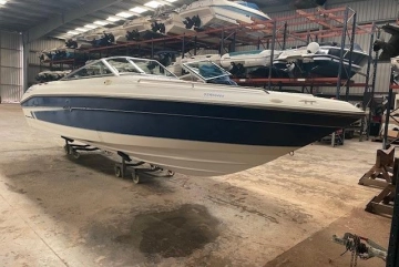 Sea Ray 240 Bow Rider usata in vendita