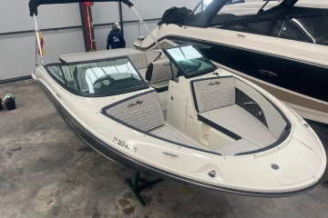 Sea Ray SPX 190 de segunda mano en venta