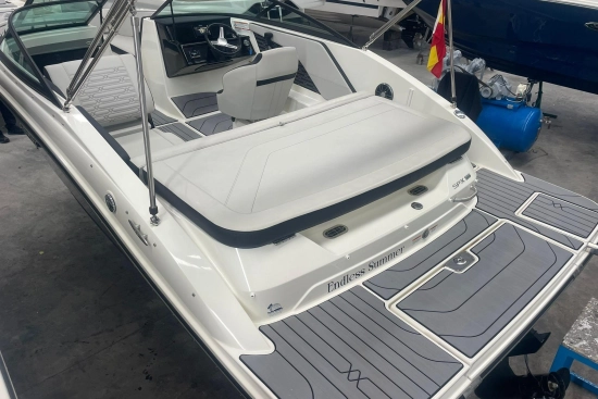 Sea Ray SPX 190 usado à venda