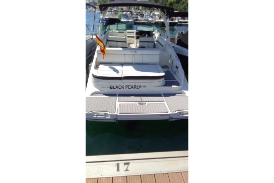 Sea Ray SDX 270 de segunda mano en venta