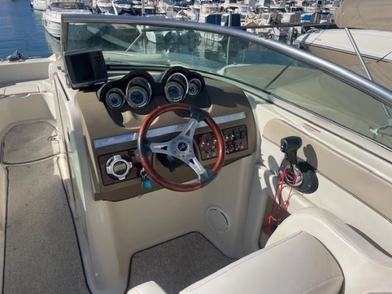 Sea Ray Sundeck 280 usata in vendita