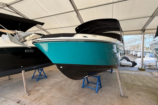 Sea Ray SDX 230 nuevo en venta