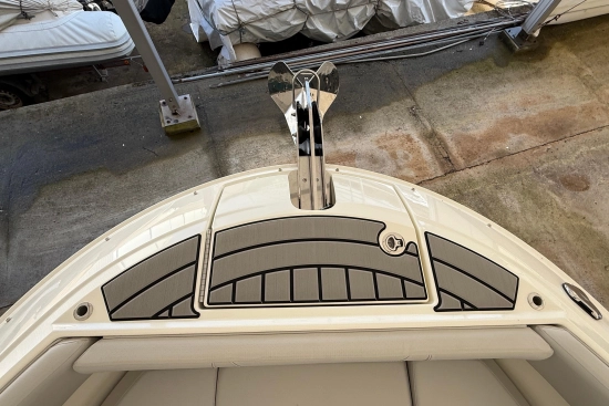 Sea Ray SDX 250 nuevo en venta