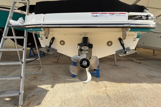 Sea Ray SDX 250 nuevo en venta