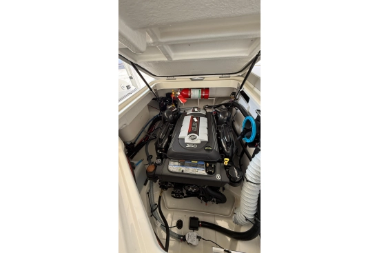 Sea Ray SDX 250 nuevo en venta