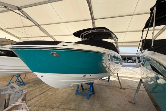 Sea Ray SDX 250 nuevo en venta