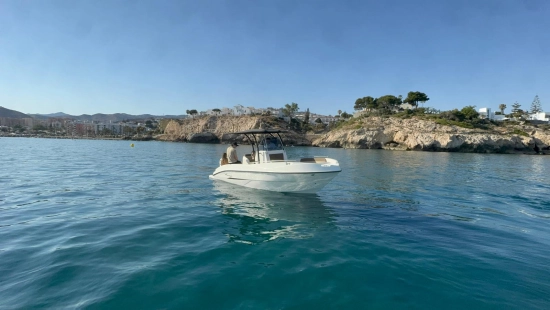 Nireus 620 CL novos à venda