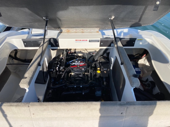 Sea Ray 205 de segunda mano en venta
