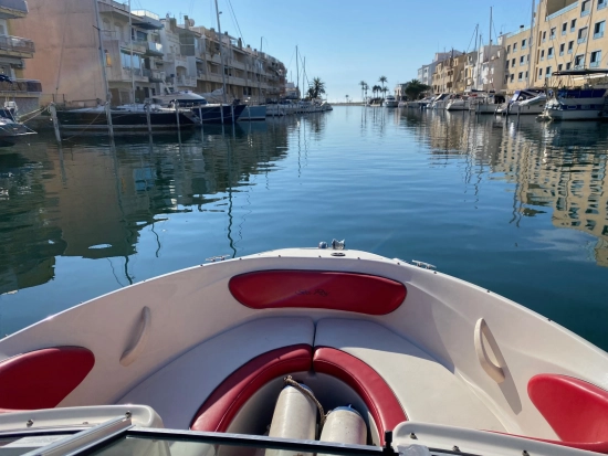 Sea Ray 205 de segunda mano en venta