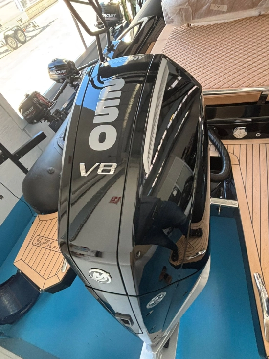 SPX RIB 24 Sport nuova in vendita