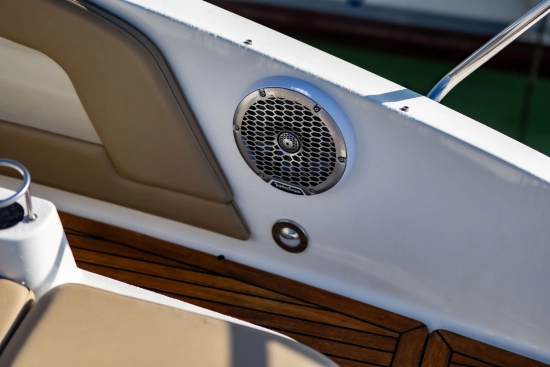 Sea Ray Sundancer 320 usado à venda