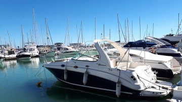 Sea Ray 315 de segunda mano en venta