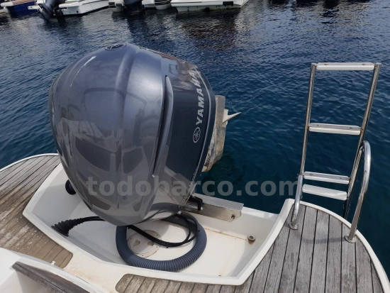Quicksilver 800 WA usado à venda