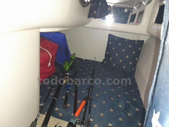 Crownline 260 CR usata in vendita