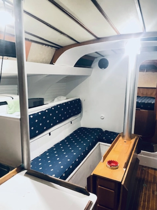 PROIVREAU 38 de segunda mano en venta