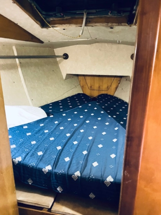 PROIVREAU 38 de segunda mano en venta