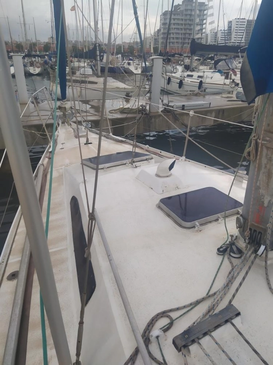 PROIVREAU 38 de segunda mano en venta