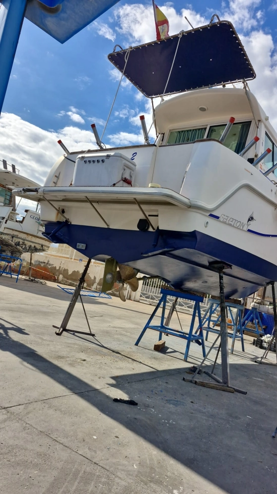 Faeton Moraga 840 usata in vendita