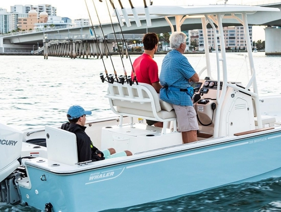 Boston Whaler 210 Montauk nuevo en venta