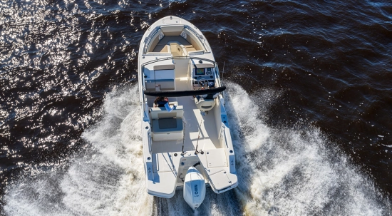 Boston Whaler 210 Vantage nuevo en venta