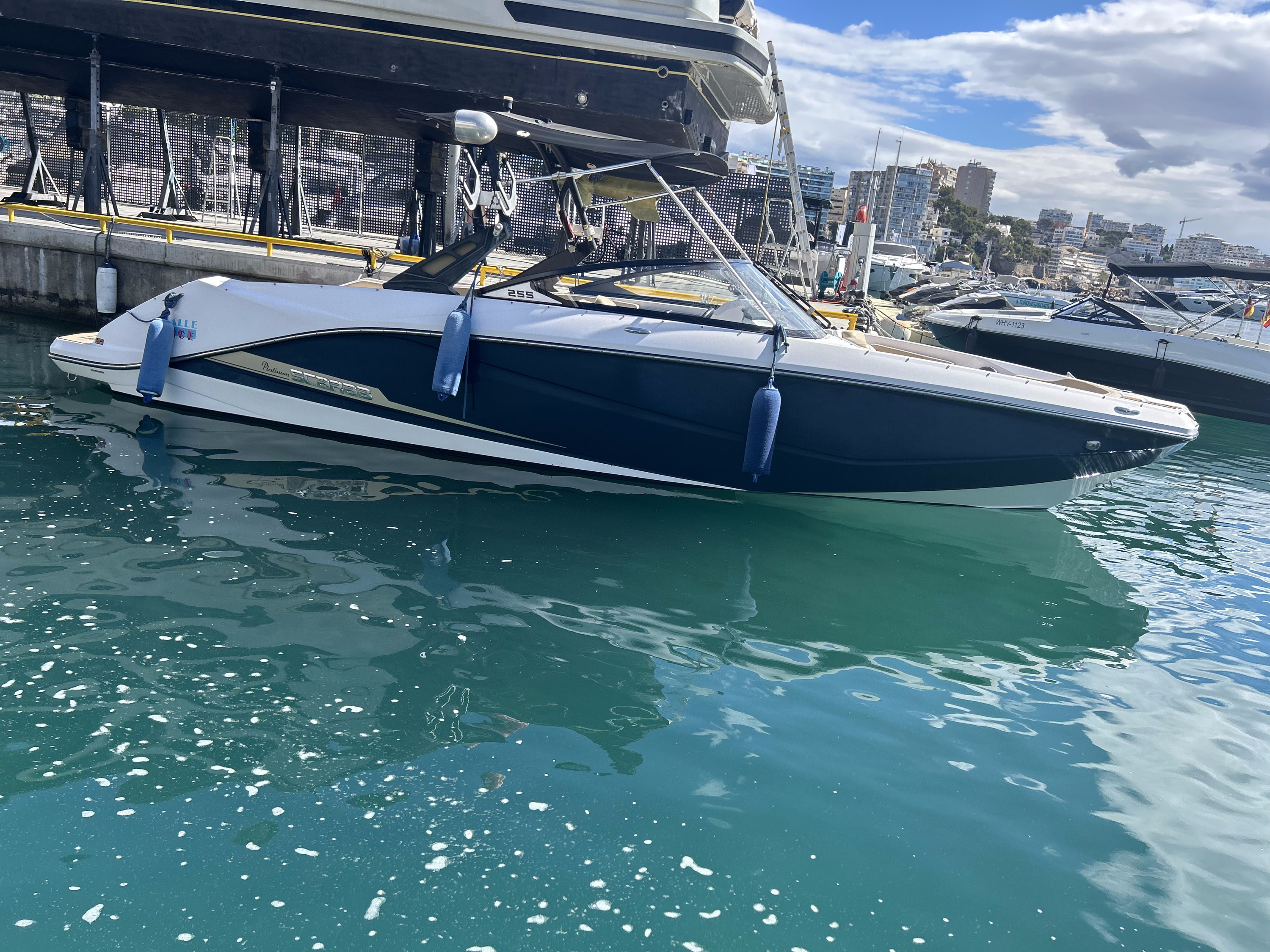 Scarab
